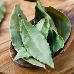 Bay leaf