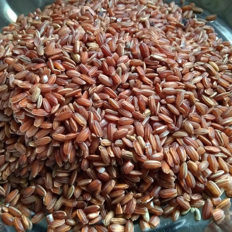 Kattuyanam rice ( red )