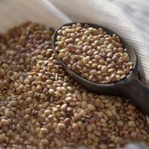 Native horse gram white