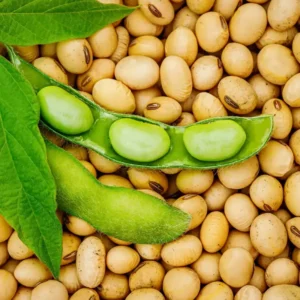 Soya Bean