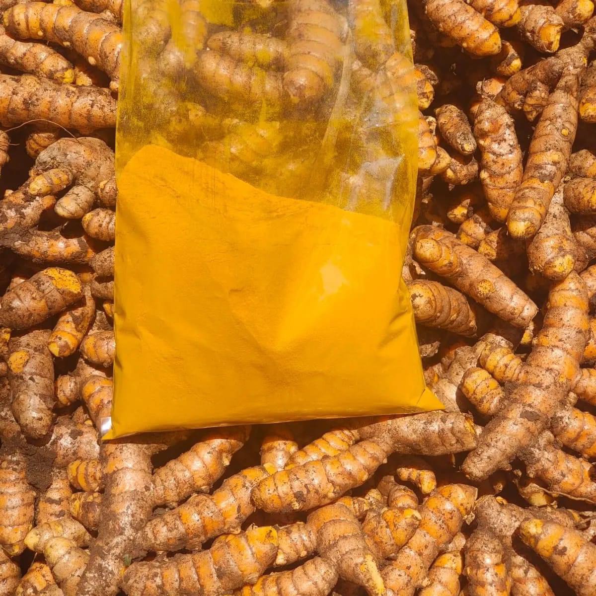 Turmerice powder Boiled - Image 2